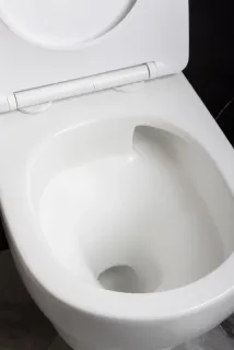 Подвесной унитаз Boheme Fiore 978-SET-2-MW безободковый с функцией биде белый матовый