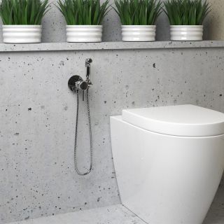 Гигиенический душ Paini Imola 53CR442RRU со смесителем хром