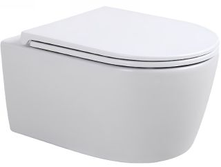 Сет Sintesi SIN-CCI-SMP-101,SIN-FB-DSS-507,SIN-TS-DNT-191: инсталляция кнопка смыва нержавеющая сталь унитаз Dante белый крышка-сиденье белая