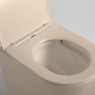 Унитаз Vincea Piatti  VT1-11SMC подвесной Капучино матовый с сиденьем Микролифт