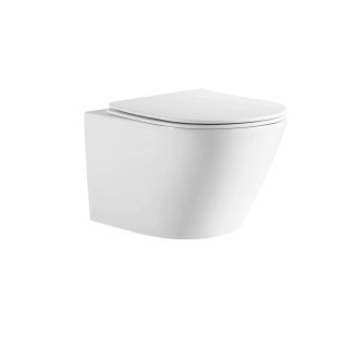 Унитаз Aquatek Либерти AQ1999T-00 подвесной цвет Белый с сиденьем Микролифт