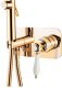 Смеситель с гигиеническим душем однорычажный Cezares APHRODITE-DIF-03/24-Bi