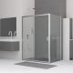 Душевой уголок RGW CL-48-1 (CL-14 + Z-060-1) 320948106-011 160x100см хром