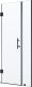 Душевая дверь RGW HO-012B 900
