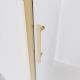 Душевая дверь Veconi Evo 100 G, 1000x1950, золото брашинг, стекло прозрачное