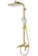 Душевая стойка Raglo R51.24.03 золотой сатин