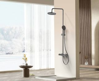 Душевая стойка Raglo R32.24.09 графит