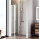 Душевая дверь  AM.PM Sunny W87G-100-1P-MT прозрачное стекло профиль серебристый 100x190
