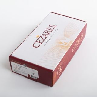 Гигиенический душ со смесителем CEZARES STYLUS-DIF-01 хром
