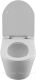 Унитаз подвесной Aquanet Atago W Short Tornado 332173 белый