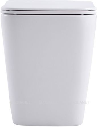Унитаз приставной Aquanet Rimless Tavr 2.0 F LX-1908 243544 белый