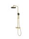 Душевая стойка Vincea Rim VSFS-2RM1BG, брашированное золото