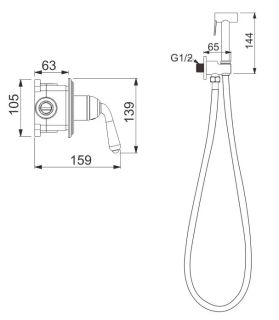 Гигиенический душ со смесителем Rose R0205E золото