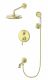 Душевой комплект Wonzon & Woghand Steam WW-88939008-BG брашированное золото